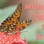 Mothers Day at VM Bistro